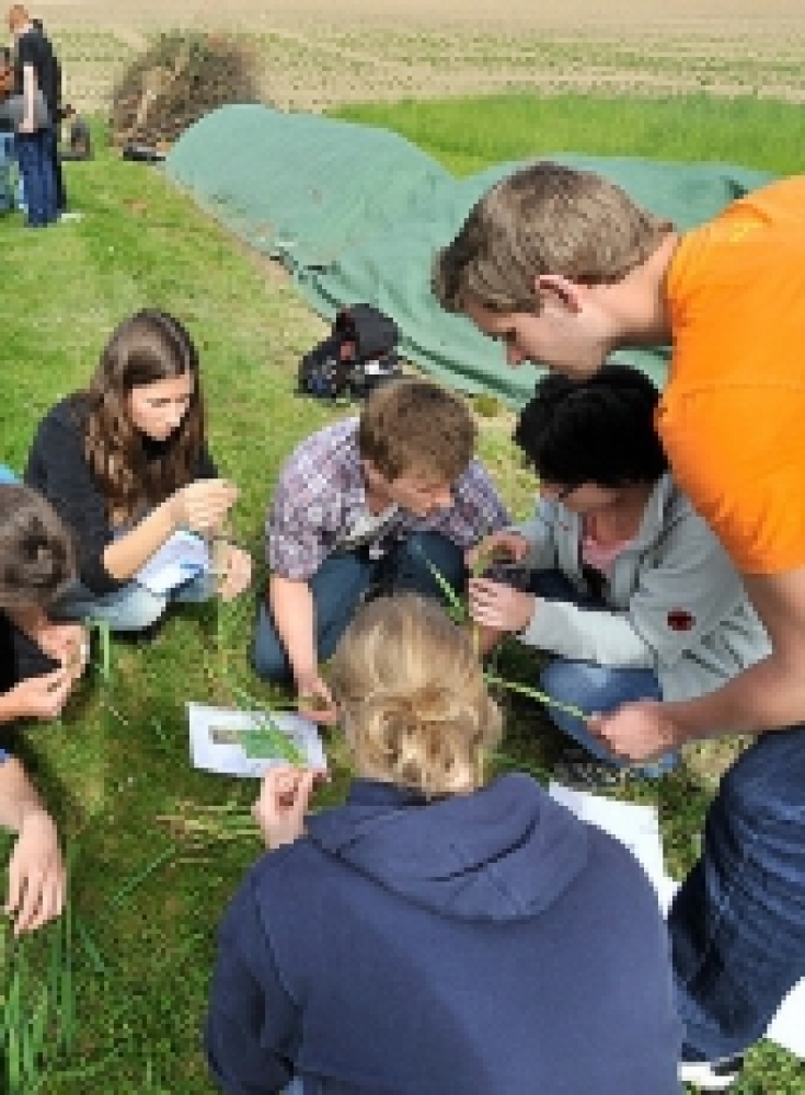 Master Master of Science (M.Sc.), Life Sciences - Agrar- und Waldwissenschaften - Schwerpunkte / Curriculum